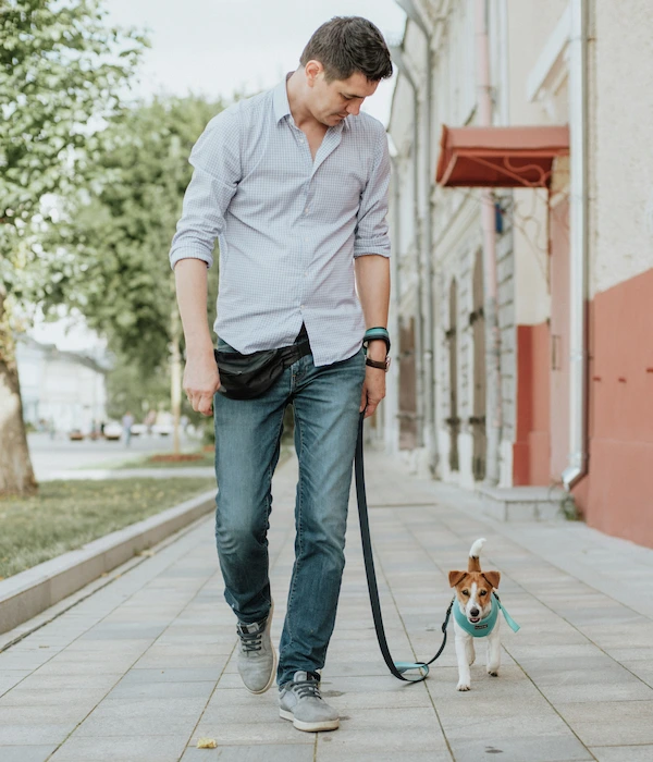 Besitzer geht mit angeleintem Hund in der Stadt Gassi